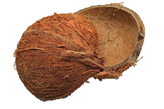Coconut Shell - guanboaolin application materials for activated carbon making